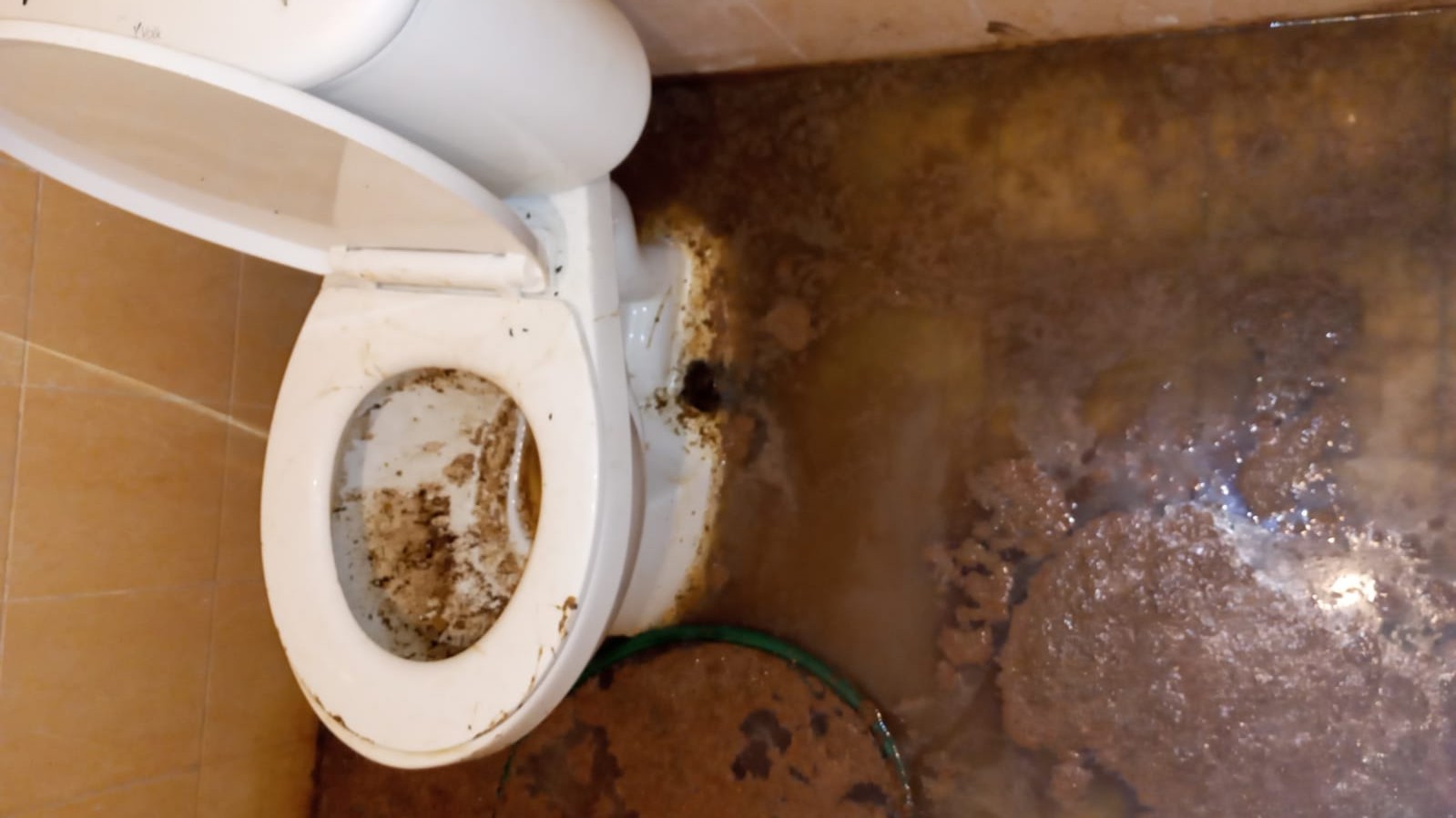 Sedot Septic Tank (Kapasitas Standar)